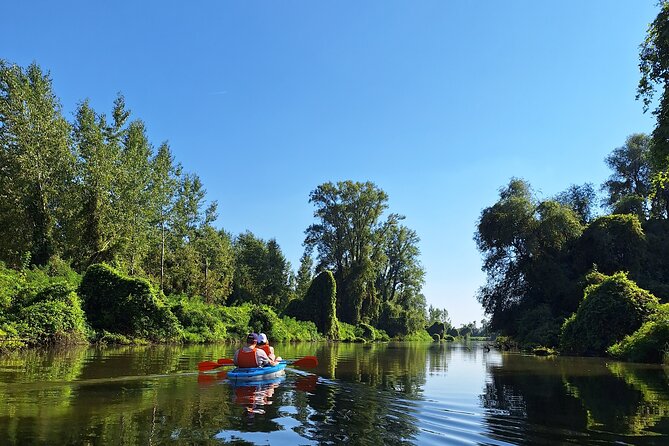 Self-guided kayak tour in Belgrade - Group Size, Duration, and How Much Value You Get