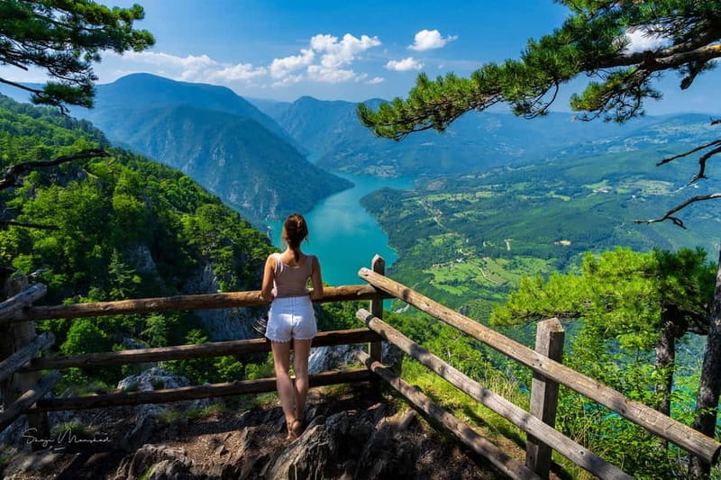 Serbia: Drina River House & Tara National Park Full Day Tour - From Belgrade to two icons of Serbia’s west