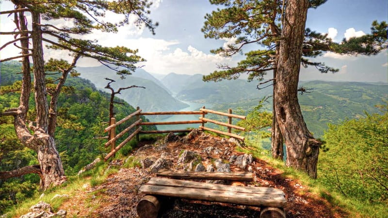 Serbia: Drina River House & Tara National Park Full Day Tour - Tara National Park: forests, viewpoints, and real biodiversity