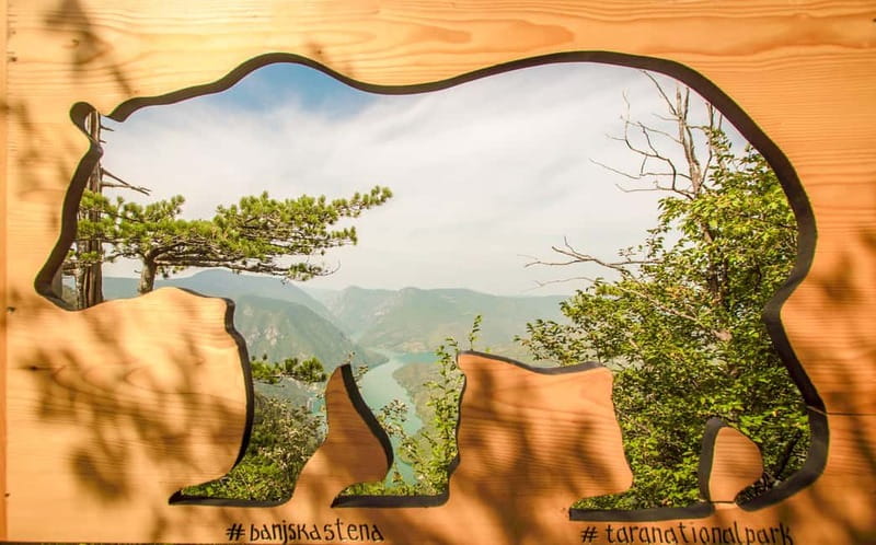 Serbia: Drina River House & Tara National Park Full Day Tour - What to expect from your guide and the audio setup
