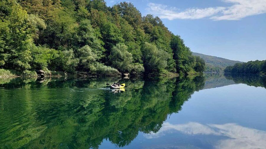 Tara National Park: Drina River Kayak or SUP Tour with Guide - Key Highlights You’ll Actually Care About