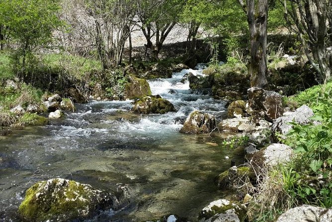 Treasures of Eastern Serbia private tour - Krupajsko Vrelo Springs and the Thermal Water Mix