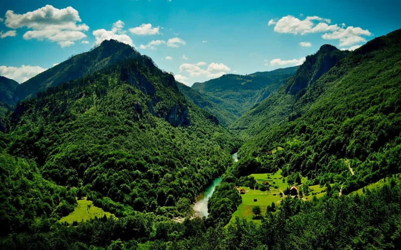 Western Serbia 1-Day Tour of the Key Sites from Belgrade - Šargan Eight: riding a narrow-gauge time machine through Mokra Gora