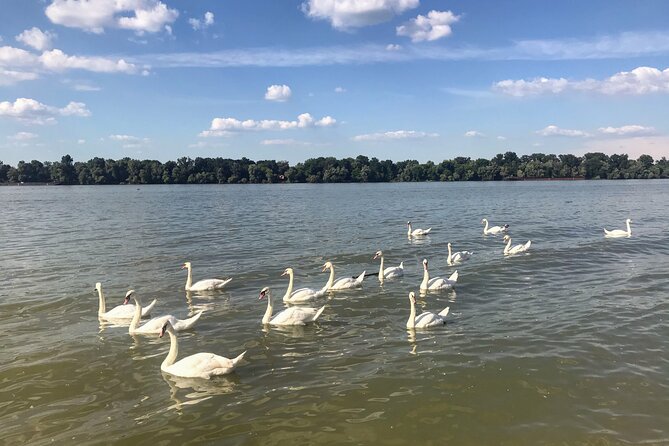 Your Own Belgrade: Unexpected Treasures of the City - Why this Belgrade walk feels different than a checklist