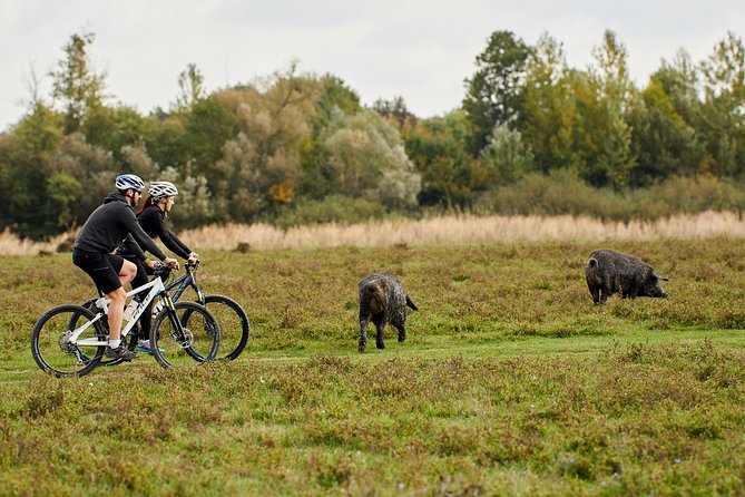 Zasavica Bike Tour - Key highlights to know before you go