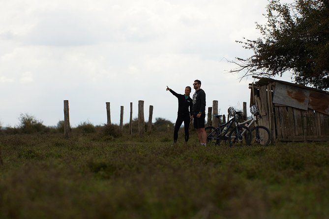 Zasavica Bike Tour - Heritage breeds and preserved wetlands: the wildlife angle that matters