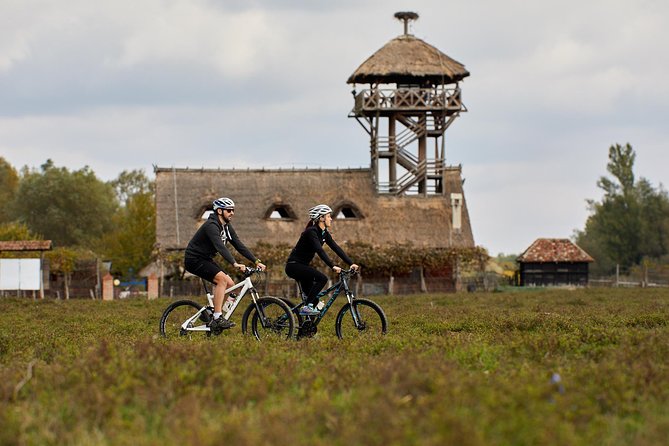 Zasavica Bike Tour - Bikes, gear, and why this tour feels safer than DIY