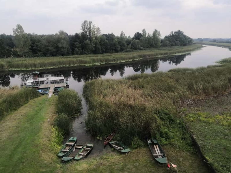 Zasavica Safari Tour - The river boat ride and the beaver factor on the lake