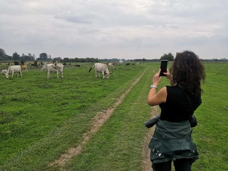 Zasavica Safari Tour - What’s included, what isn’t, and how to budget smartly