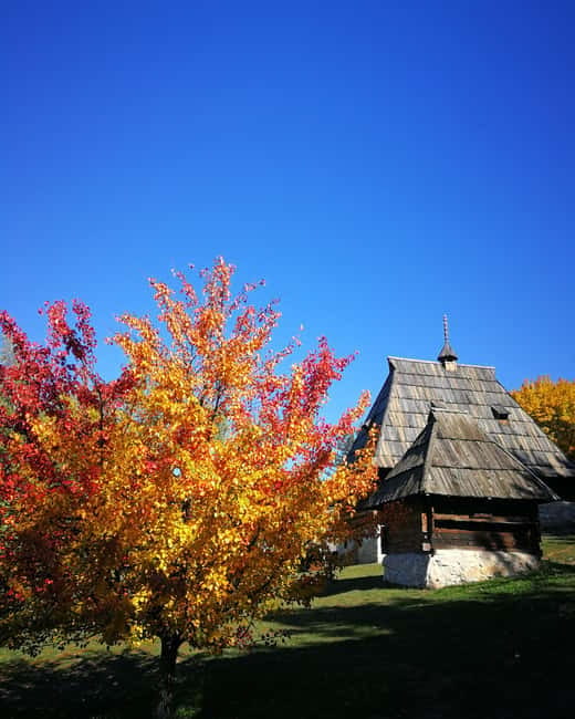 Zlatibor tour - Gold gondola, Stopic cave, Sirogojno & falls - Who Should Book This Zlatibor Tour